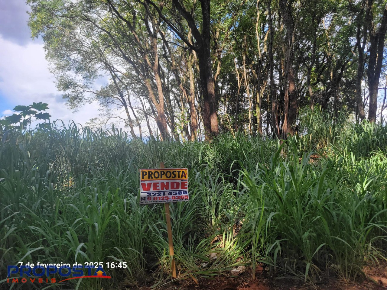 Terreno/Área à venda em Conjunto Floresta, Sarandi — Portal Chave Fácil