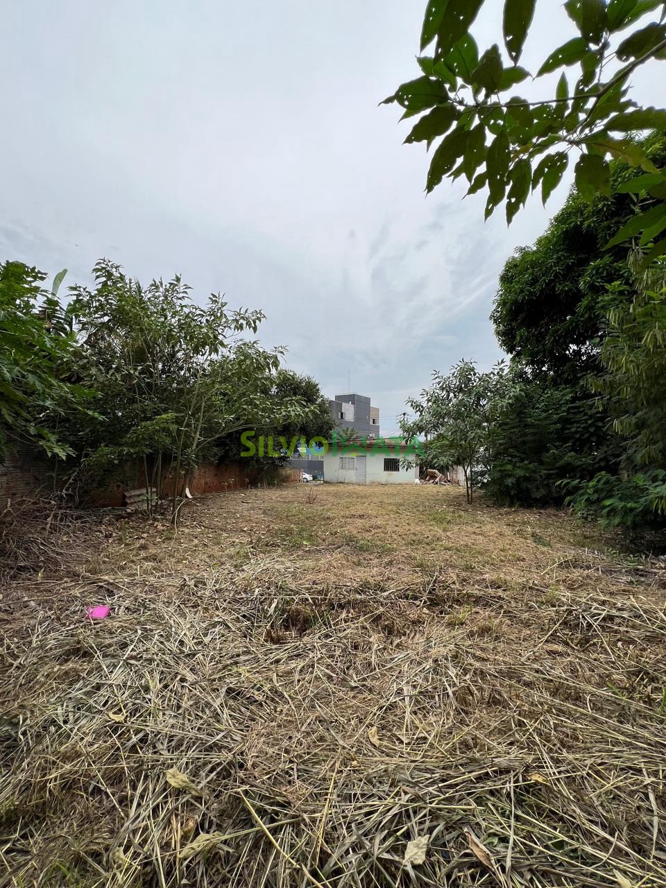 Terreno/Área à venda em Zona 08, Maringá — Portal Chave Fácil