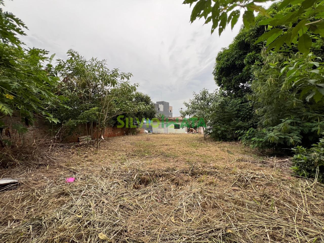 Terreno/Área à venda em Zona 08, Maringá — Portal Chave Fácil