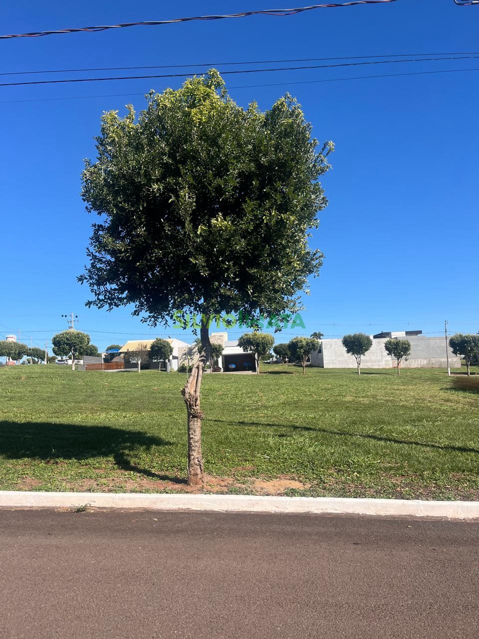 Terreno/Área à venda em Cond Porto Rico, Porto Rico — Portal Chave Fácil