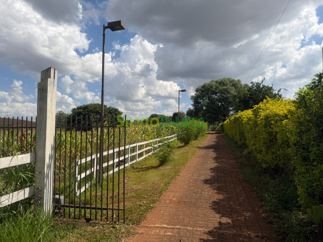 Terreno/Área à venda em Área Rural, Marialva — Portal Chave Fácil